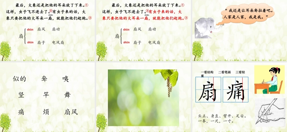 《19 大象的耳朵1》优质课.ppt