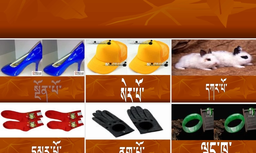 《词语表 》 第4套（省一等奖）优质课.pptx