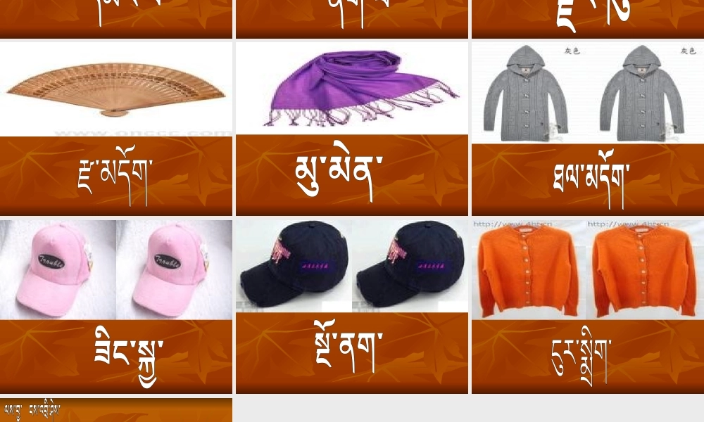 《词语表 》 第4套（省一等奖）优质课.pptx