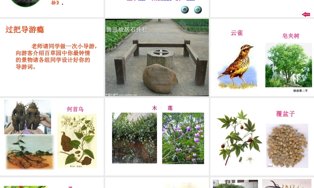 《从百草园到三味书屋》 4.ppt