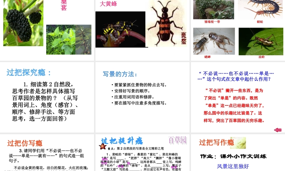 《从百草园到三味书屋》 4.ppt