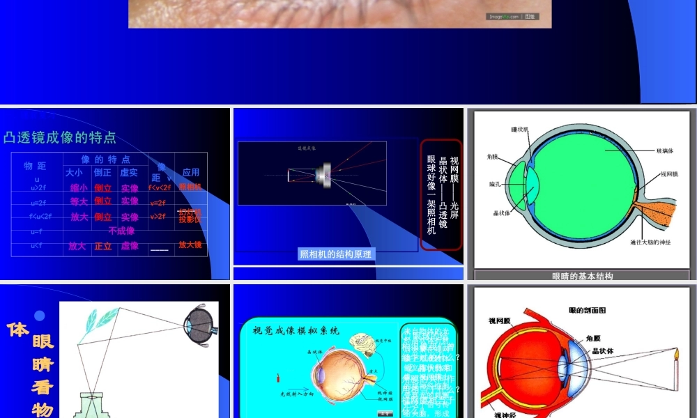 [名校联盟]江西省信丰县西牛中学八年级物理课件：《46神奇的眼睛》.ppt