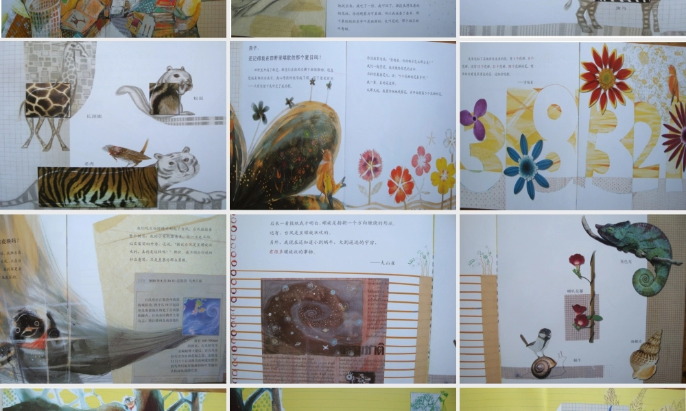 [自然中的规律性]燕子,你还记得吗 -- 印象工作站 淘宝店.ppt