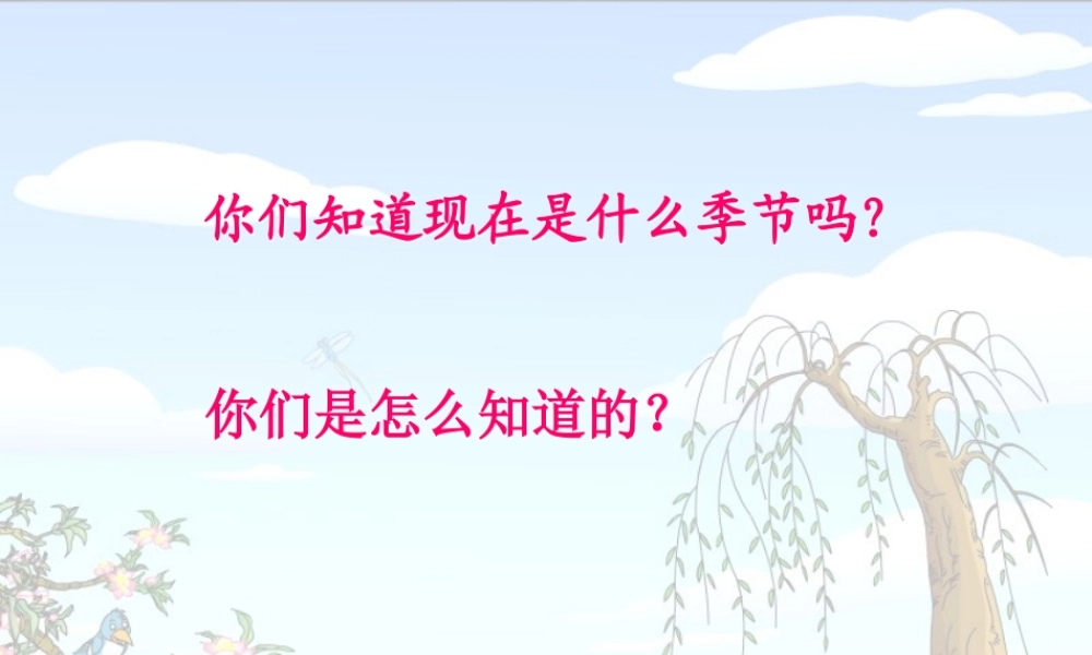 《2 找春天 》 第1套（省一等奖）优质课.ppt