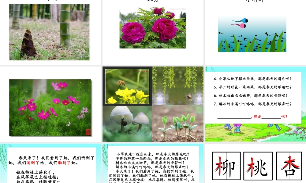 《2 找春天 》 第6套（省一等奖）优质课.ppt