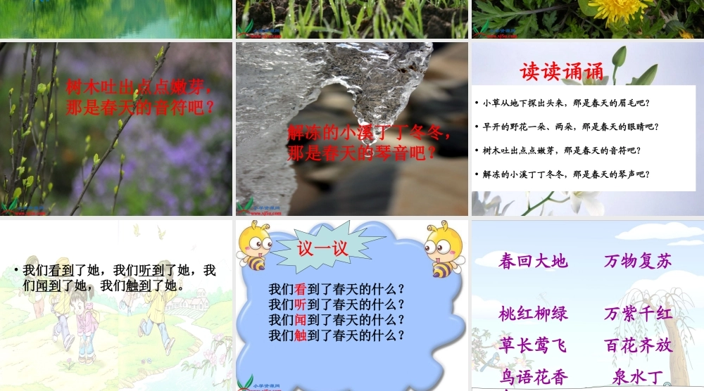 《2 找春天1》优质课.ppt