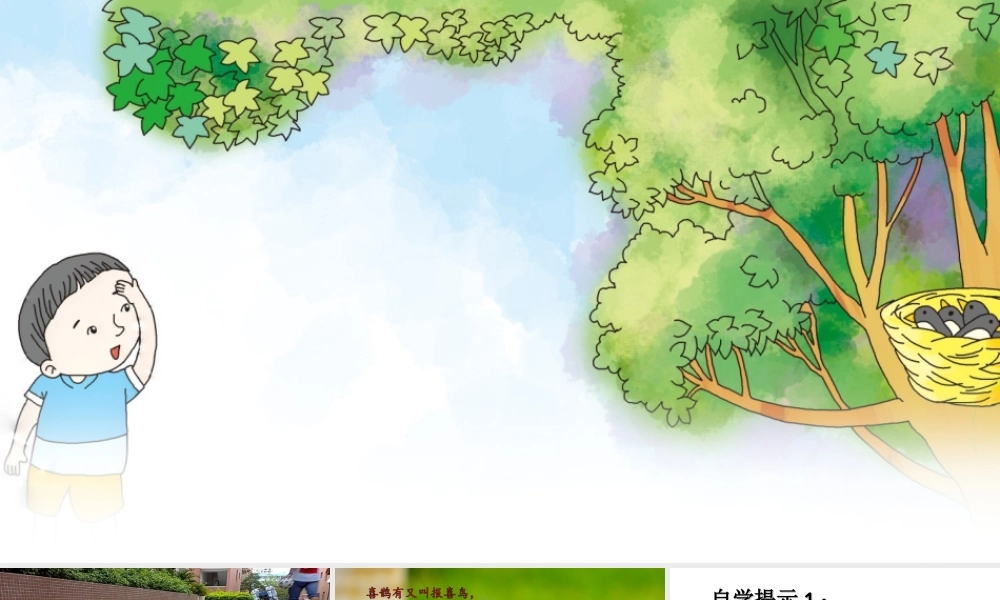 《9 枫树上的喜鹊3》优质课.ppt