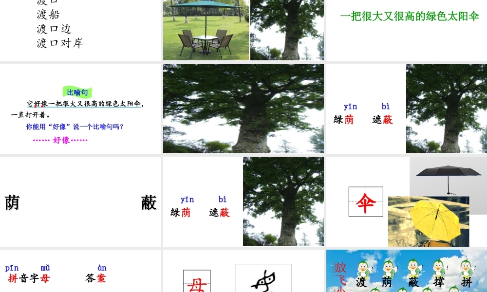 《9 枫树上的喜鹊3》优质课.ppt