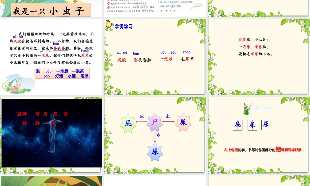 《11 我是一只小虫子 》 第2套（国家一等奖）优质课.pptx