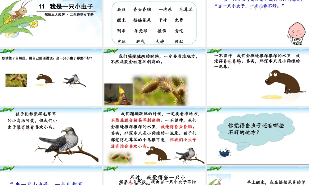 《11 我是一只小虫子 》 第7套（省一等奖）优质课.ppt