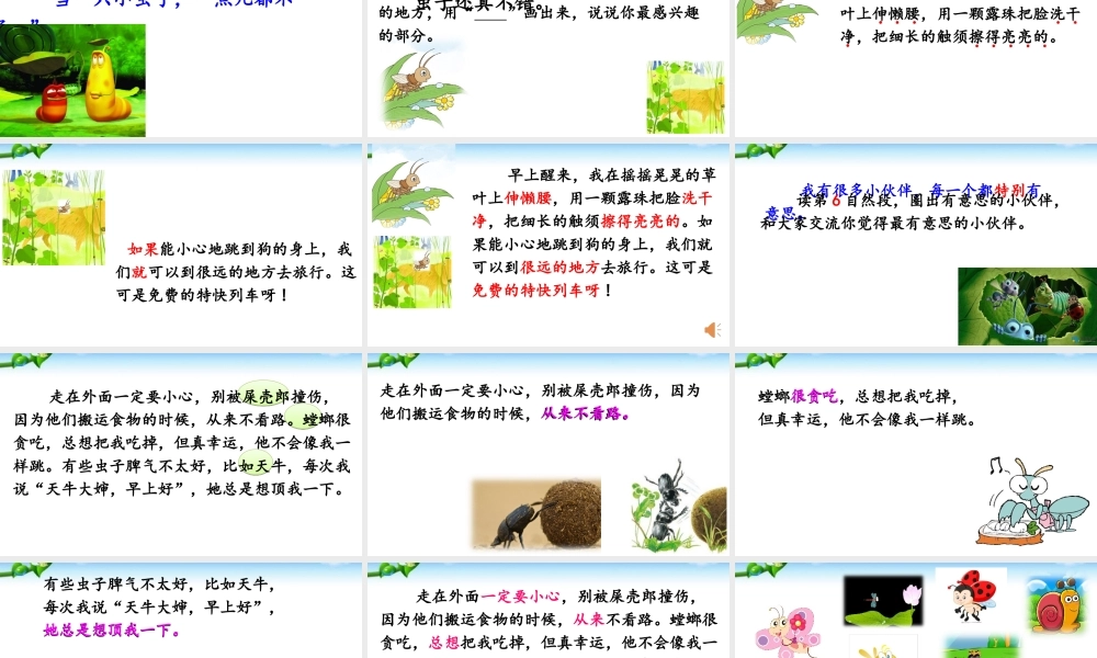 《11 我是一只小虫子 》 第7套（省一等奖）优质课.ppt