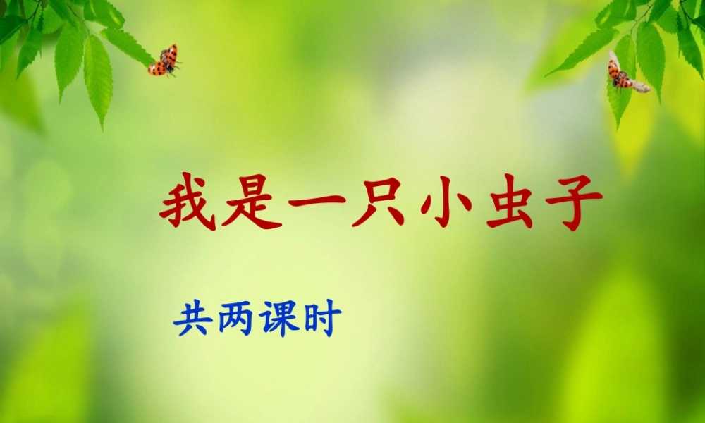 《11 我是一只小虫子2》优质课.ppt