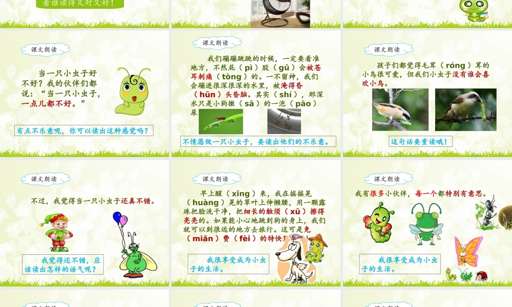 《11 我是一只小虫子2》优质课.ppt