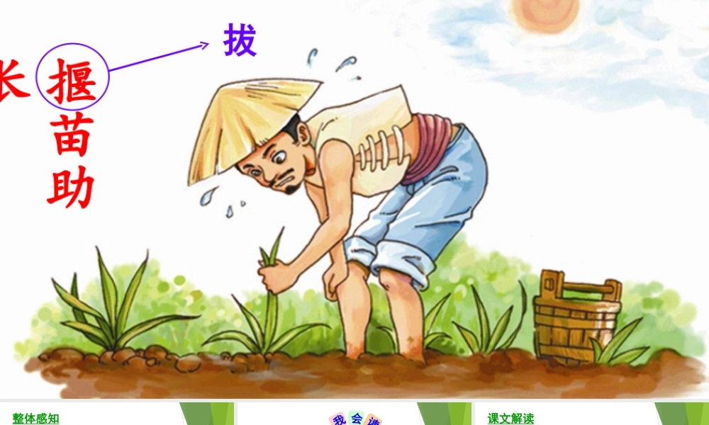 《12揠苗助长 》 第6套（省一等奖）优质课.ppt