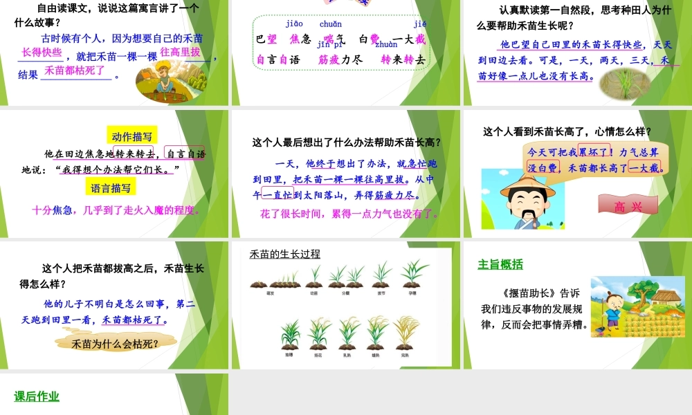 《12揠苗助长 》 第6套（省一等奖）优质课.ppt