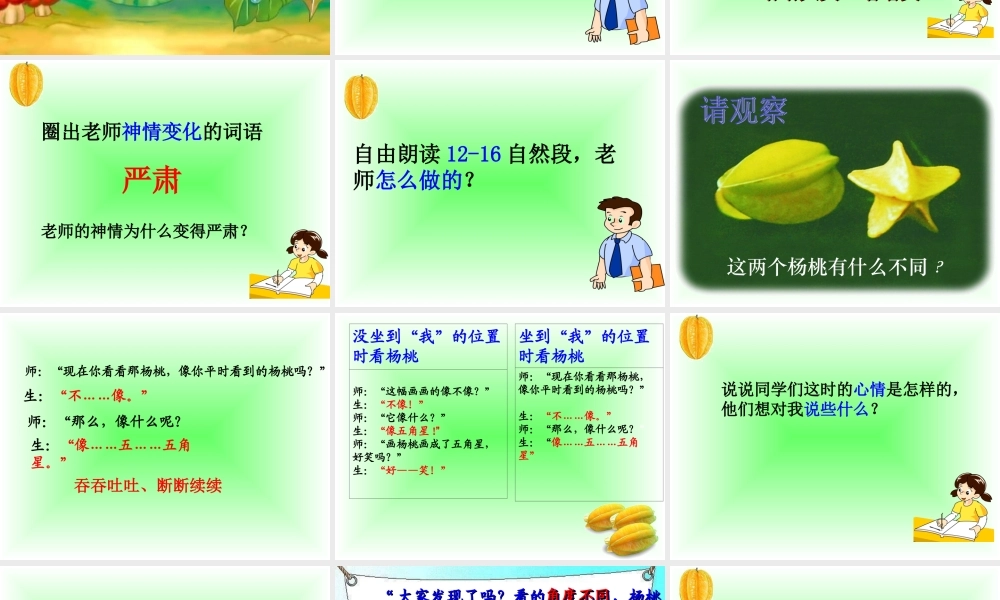 《13 画杨桃 》 第1套（国家一等奖）优质课.ppt