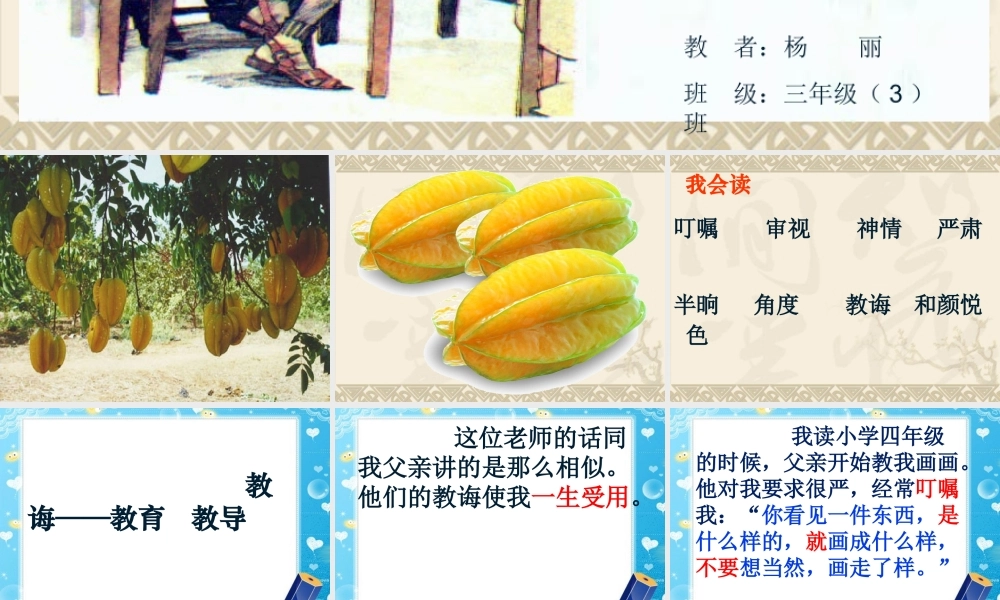 《13 画杨桃 》 第6套（省一等奖）优质课.ppt