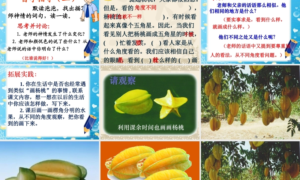 《13 画杨桃 》 第6套（省一等奖）优质课.ppt