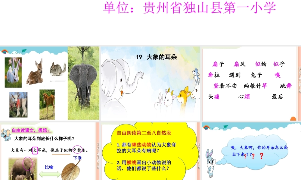 《19 大象的耳朵 》 第2套（国家一等奖）优质课.pptx