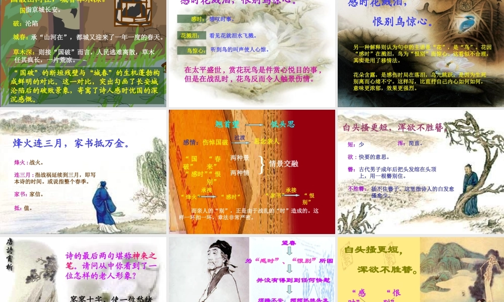 《25 杜甫诗三首》课件（共38张PPT）.ppt