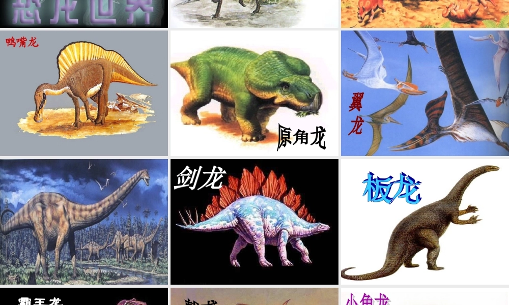 《阿西莫夫短文两篇》课件（共59张PPT）.ppt