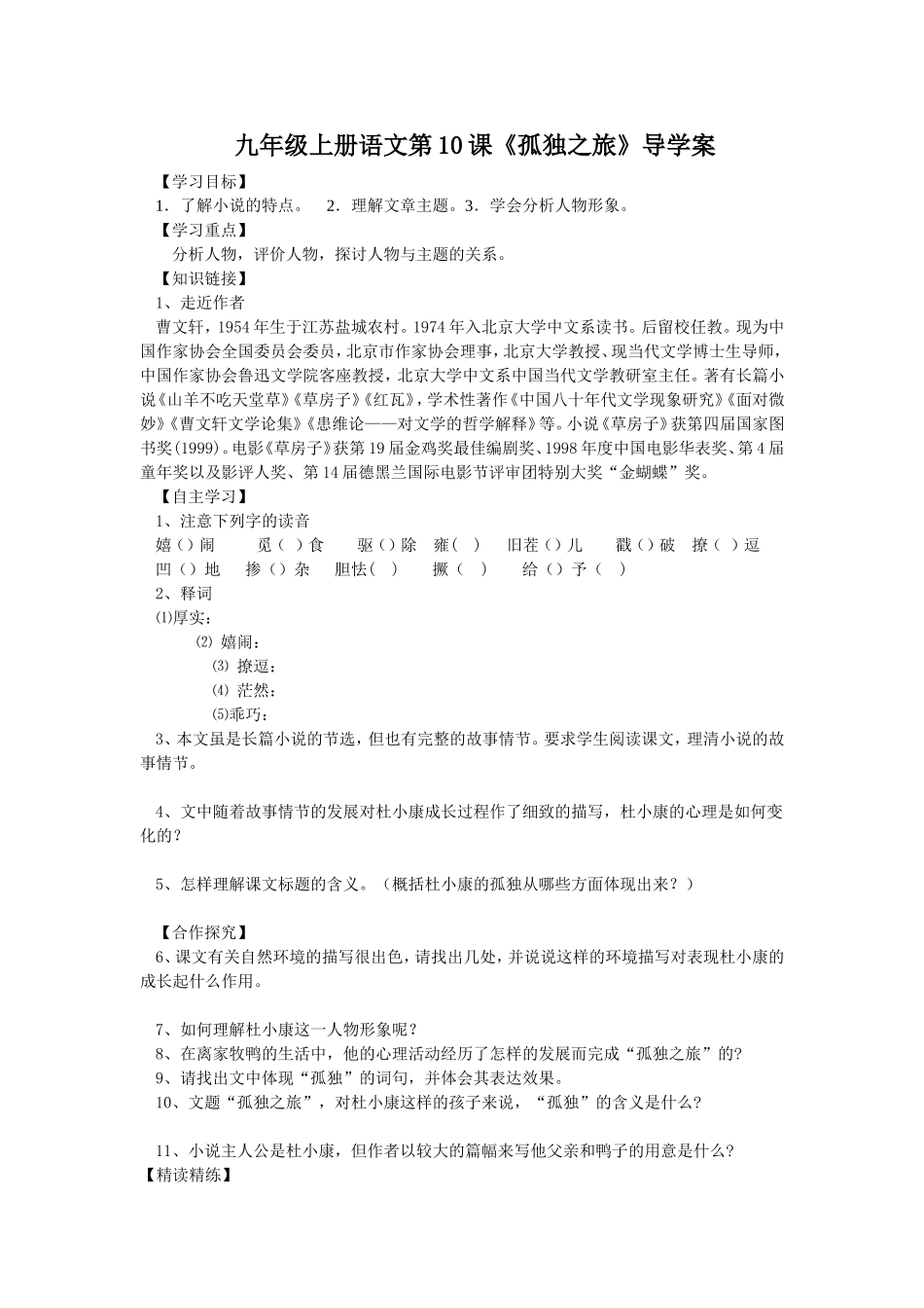 10　孤独之旅　　学案1.doc_第1页