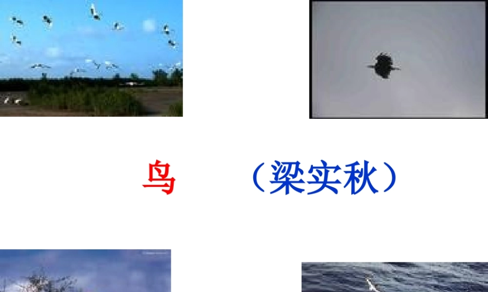 《鸟》梁实秋1.ppt