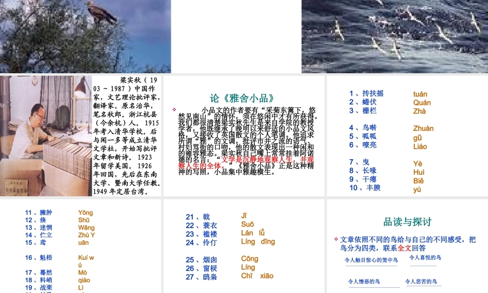 《鸟》梁实秋1.ppt