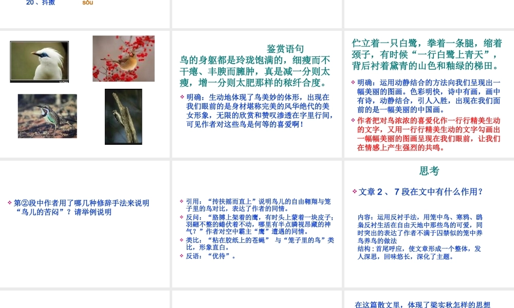 《鸟》梁实秋1.ppt