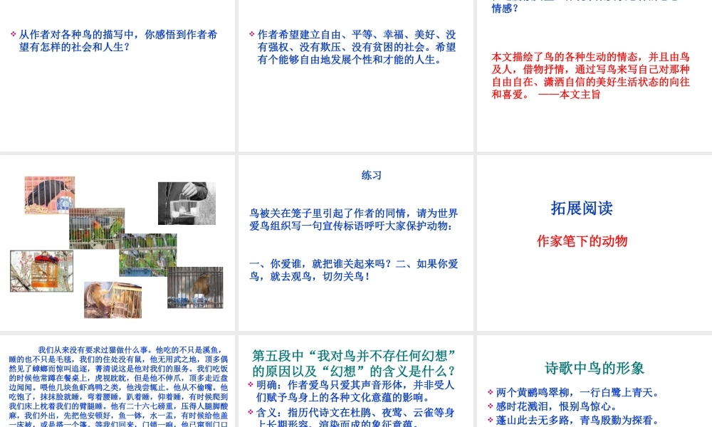 《鸟》梁实秋1.ppt