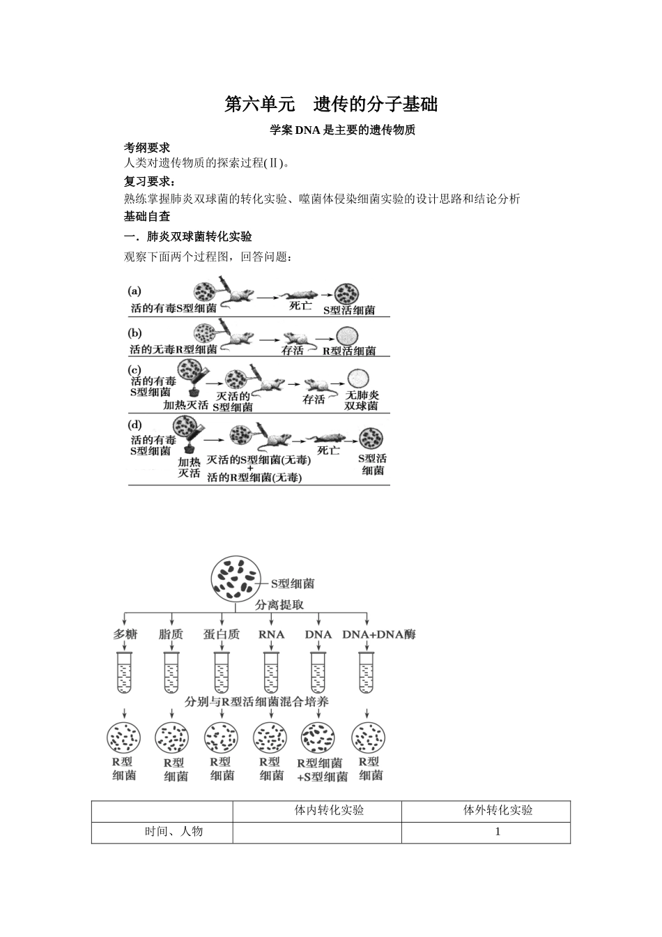 2013届高考生物一轮复习学案：第6单元 DNA是主要的遗传物质.doc_第1页