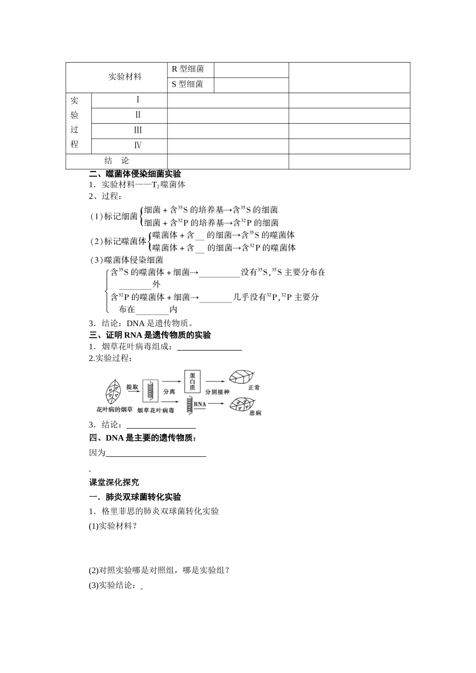 2013届高考生物一轮复习学案：第6单元 DNA是主要的遗传物质.doc_第2页
