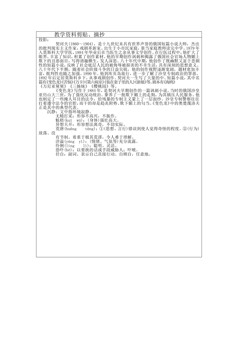 变色龙标准.doc_第2页