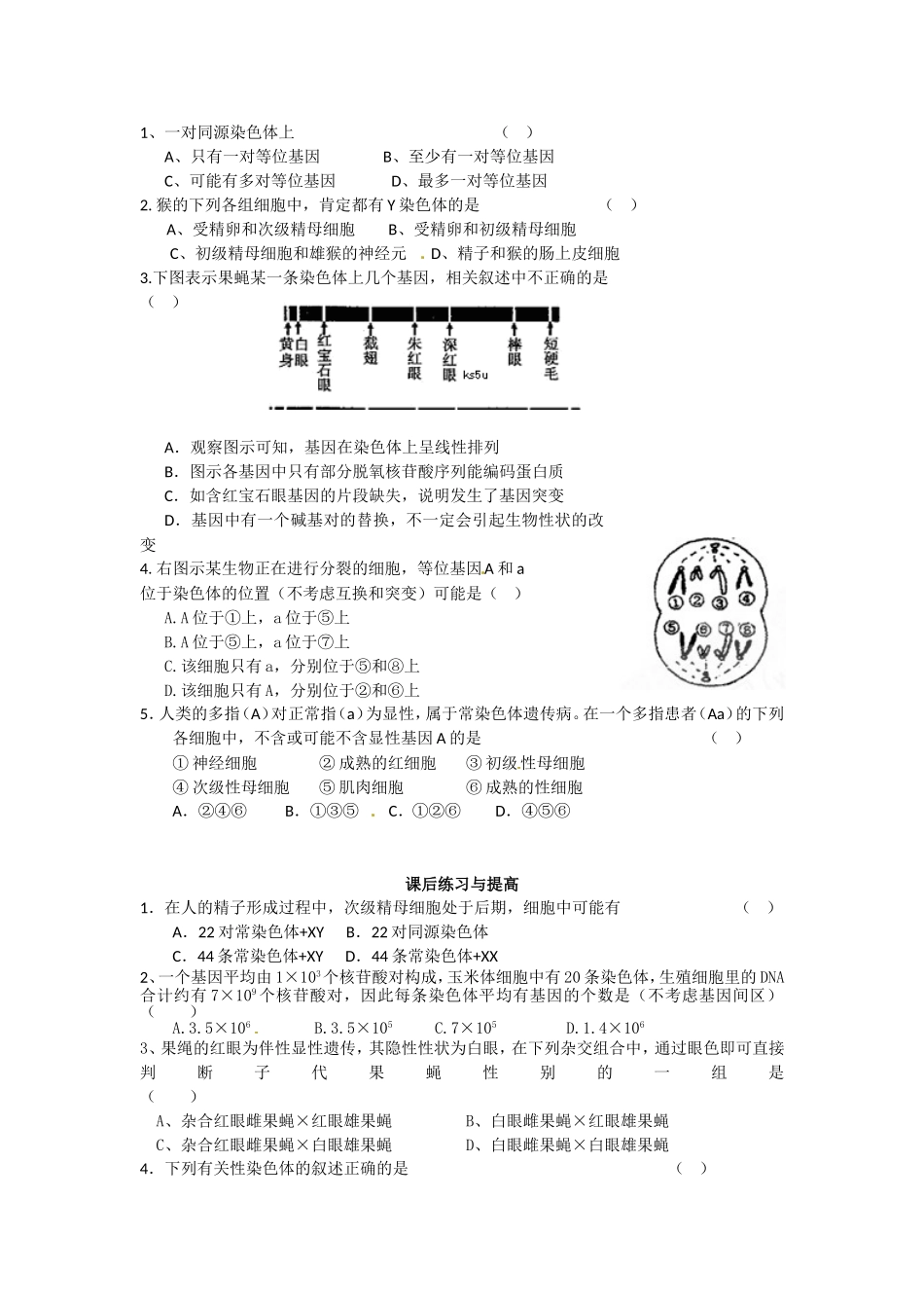 必修二第二章第2节《基因在染色体上》导学案.doc_第3页