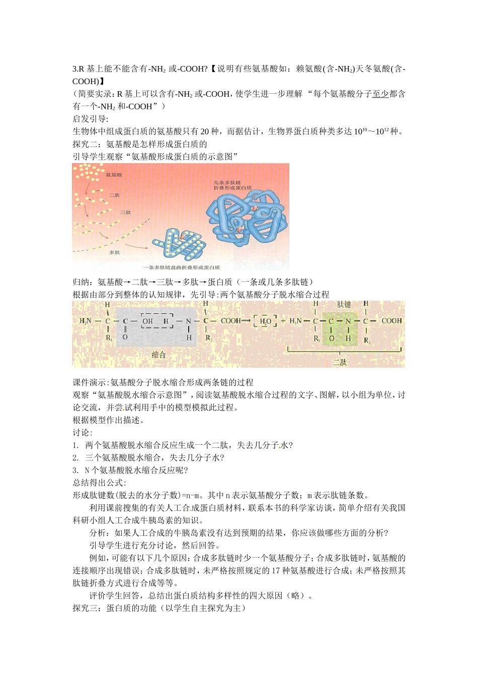 必修一第二章第2节《生命活动的主要承担者——蛋白质》教案.doc_第3页