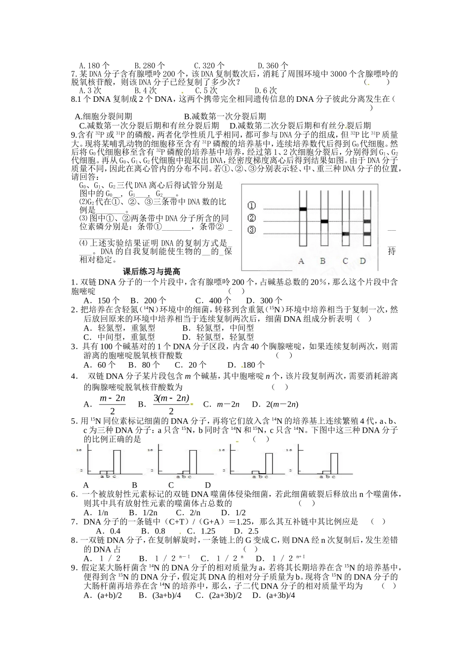 必修二第三章第3节《DNA的复制》导学案.doc_第3页