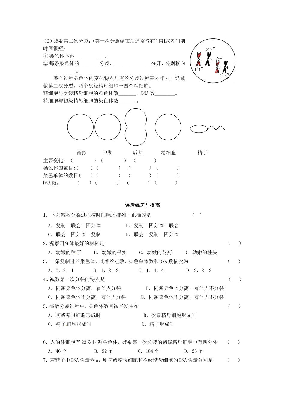 必修二第二章第1节《减数分裂》导学案1.doc_第3页