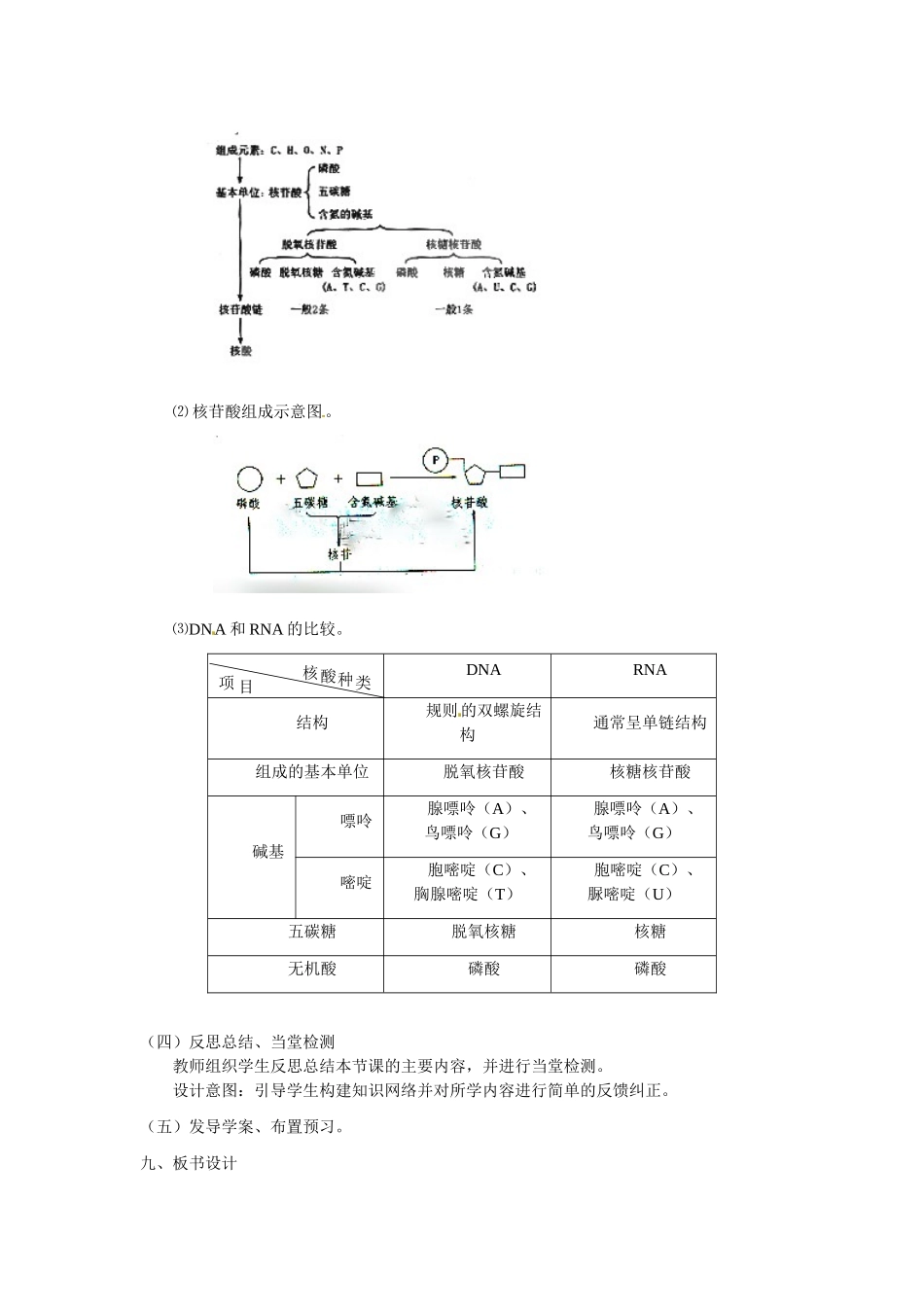 必修一第二章第3节《遗传信息的携带者——核酸》教案.doc_第3页