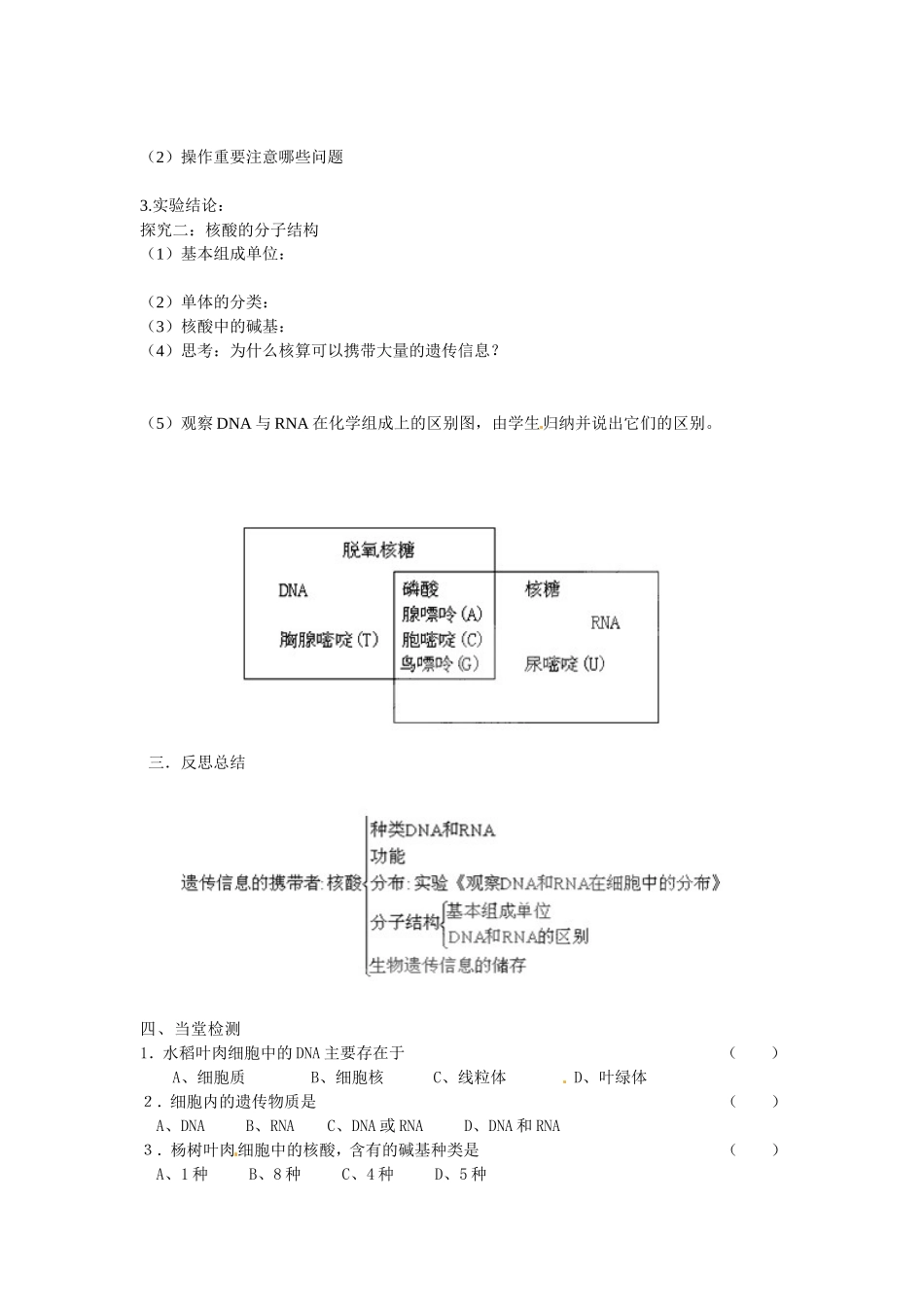 必修一第二章第3节《遗传信息的携带者——核酸》导学案.doc_第2页