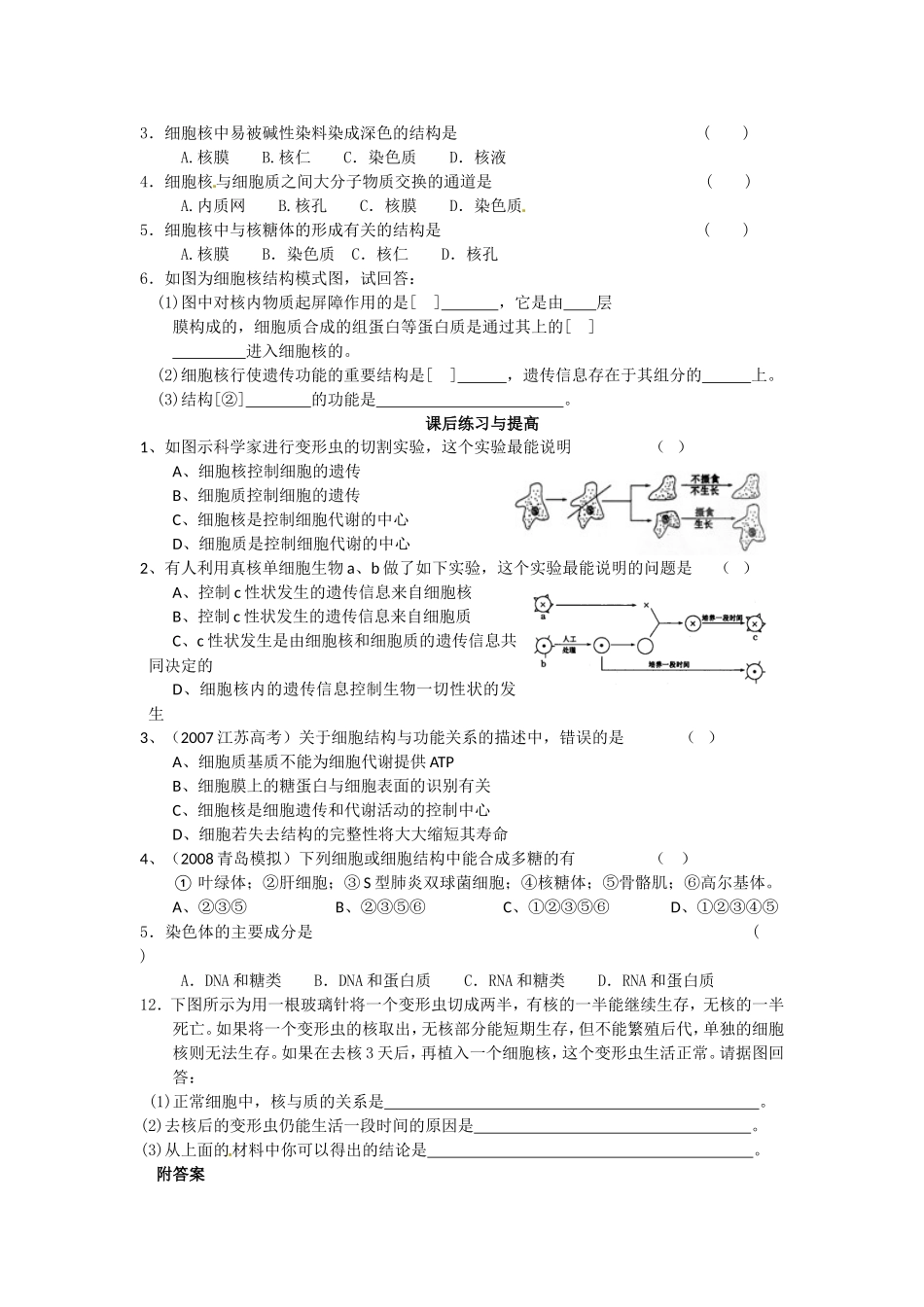 必修一第三章第3节《细胞核——系统的控制中心》导学案.doc_第3页