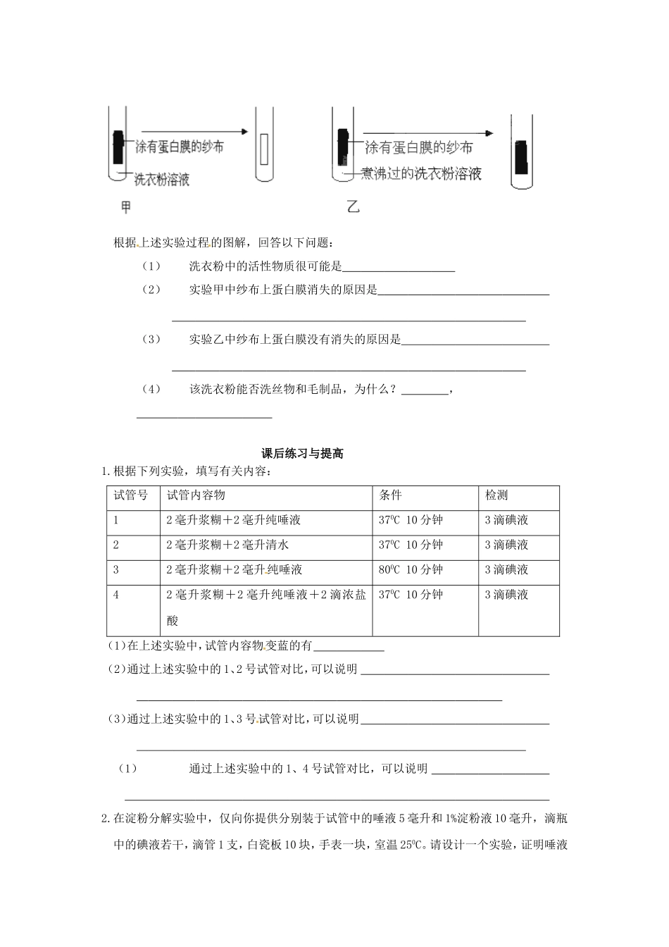 必修一第五章第1节《降低化学反应活化能的酶（二）》导学案.doc_第3页