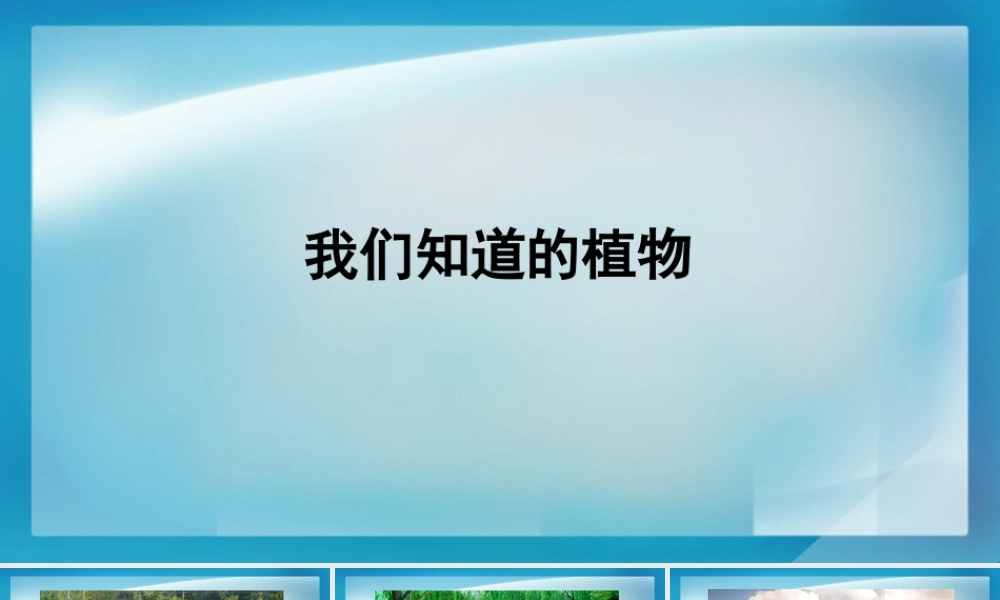 《我们知道的植物》教学课件.PPTx