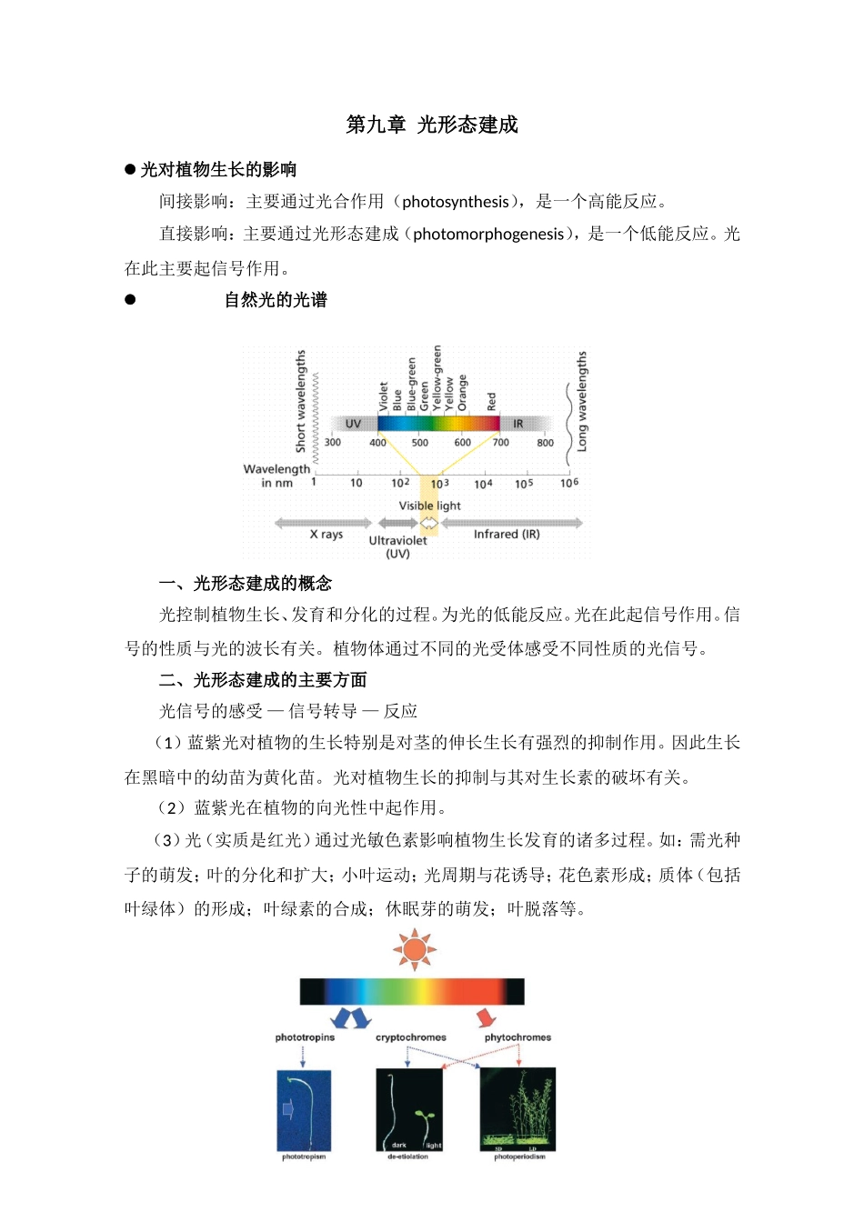 高中生物竞赛教程 第9章 光形态建成.doc_第1页