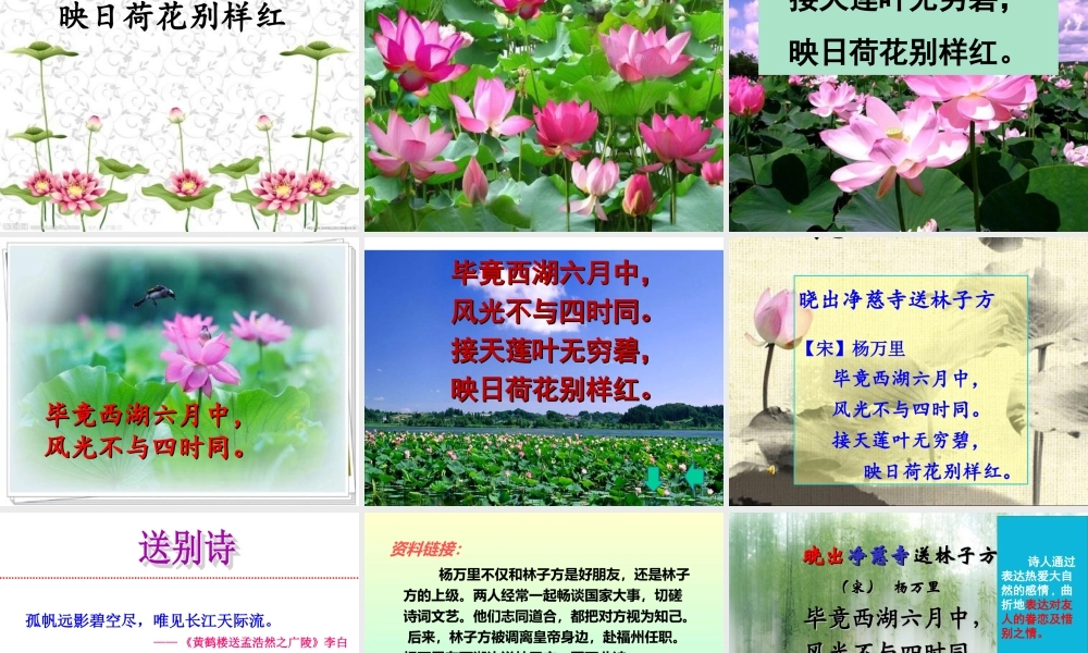 《晓出净慈寺送林子方 》 第3套（省一等奖）优质课.ppt