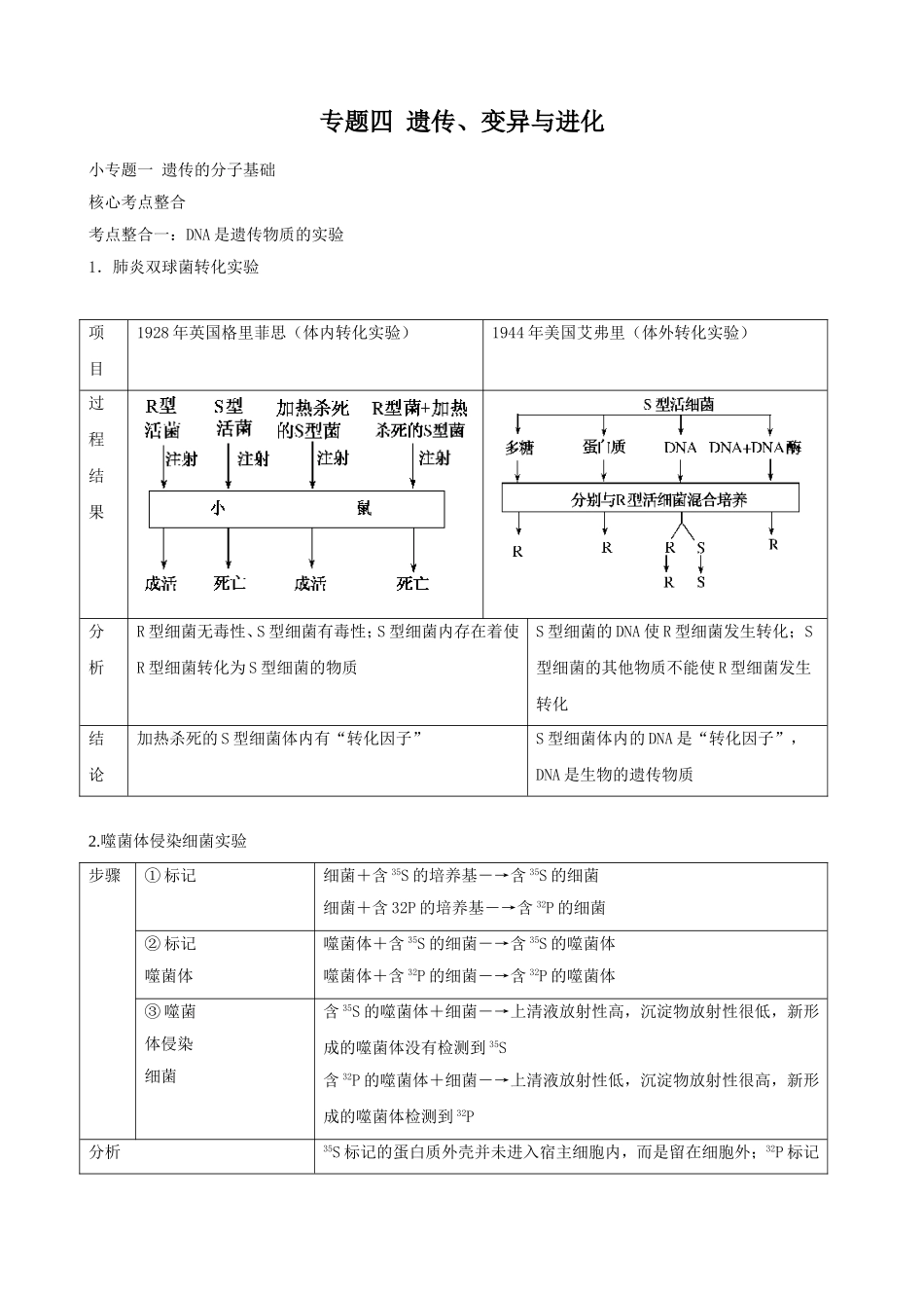 高三生物复习学案：专题4 遗传、变异与进化1 遗传的分子基础.doc_第1页