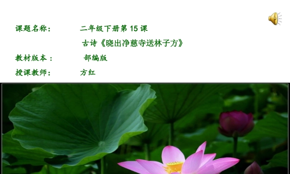 《晓出净慈寺送林子方 》 第4套（省一等奖）优质课.ppt