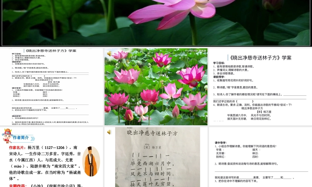 《晓出净慈寺送林子方 》 第4套（省一等奖）优质课.ppt