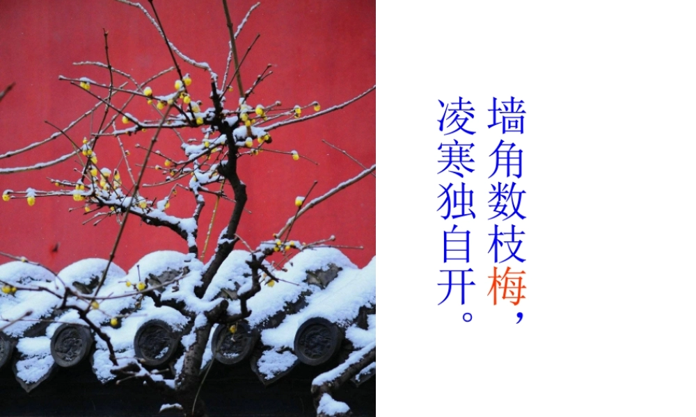 《晓出净慈寺送林子方 》 第7套（省一等奖）优质课.ppt