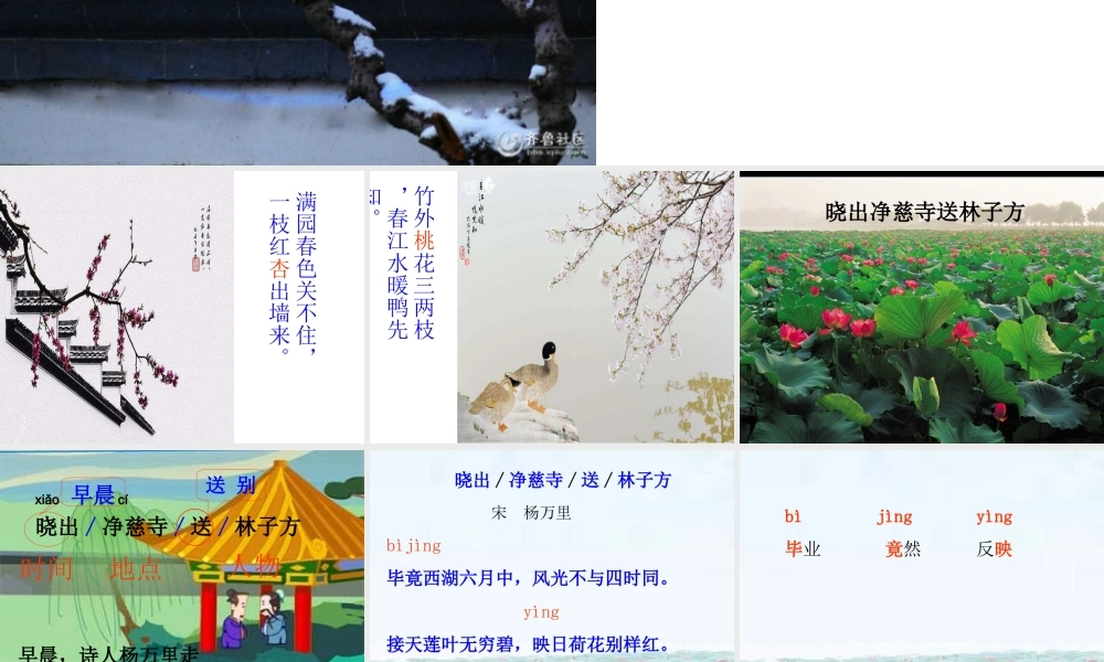 《晓出净慈寺送林子方 》 第7套（省一等奖）优质课.ppt