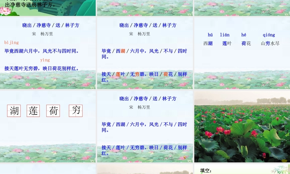 《晓出净慈寺送林子方 》 第7套（省一等奖）优质课.ppt